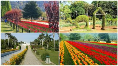 Must Visit Picturesque Gardens In India: Hanging Gardens In Mumbai To Tulip Garden In Srinagar