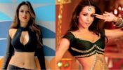 Nia Sharma did her “Homework by watching Malaika Arora’s Munni Badnam”, Took inspiration for her item song
