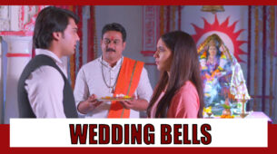 Nima Denzongpa Spoiler Alert: Wedding bells for Manya and Paras