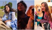 Palak Sindhwani, Nidhi Bhanushali and Anushka Sen are dog lovers and these pics are PROOF