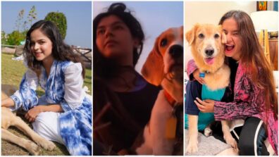 Palak Sindhwani, Nidhi Bhanushali and Anushka Sen are dog lovers and these pics are PROOF