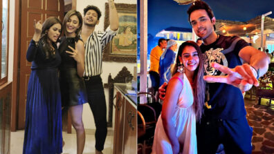 Party All Night: Erica Fernandes goes wild with her gang, Parth Samthaan celebrates with Niti Taylor