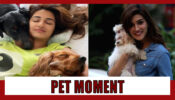 PAWSOME MOMENTS: From Disha Patani To Kriti Sanon, Bollywood Celebs With Their Furry Friends