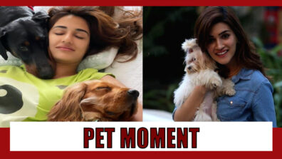 PAWSOME MOMENTS: From Disha Patani To Kriti Sanon, Bollywood Celebs With Their Furry Friends