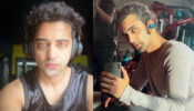 RadhaKrishn fame Sumedh Mudgalkar flaunts ripped gym body, grooves to rock music