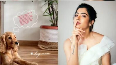 Rashmika Mandanna has purchased apartments all over the country: From Mumbai to Goa, deets inside