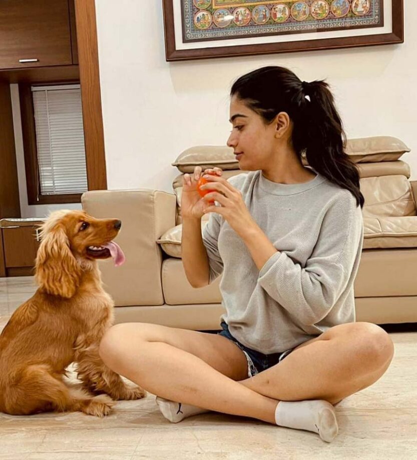 Rashmika Mandanna has purchased apartments all over the country: From Mumbai to Goa, deets inside - 2