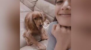 Rashmika Mandanna shares real-life struggles of having a cute pet, pet owners will relate, See pic