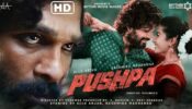 What Makes Pushpa The Most Successful Indian Film Since Pandemic Started? Trade Experts Speak