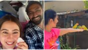 Sara Ali Khan sets out for long drive with Vicky Kaushal in 13 degree temperature, Katrina Kaif busy with parrot