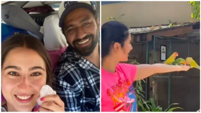 Sara Ali Khan sets out for long drive with Vicky Kaushal in 13 degree temperature, Katrina Kaif busy with parrot