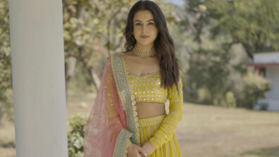 Shehnaaz Gill turns gorgeous bride in delightful yellow avatar, ‘Rasode mein kaun tha fame’ Yashraj Mukhate is drooling