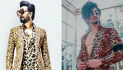 Sher Aaya Sher: Mr Faisu Vs Ranveer Singh: Which stud looks dapper in tiger-printed blazer? (Ultimate Fan Battle)