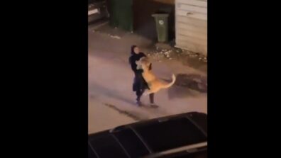 Shocking Video: A Woman Carrying An Injured Lion In Her Arms Has Gone Viral, Watch