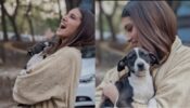 SO CUTE, Tara Sutaria welcomes an adorable guest on the set of Heropanti 2, See Pics
