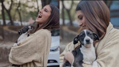 SO CUTE, Tara Sutaria welcomes an adorable guest on the set of Heropanti 2, See Pics