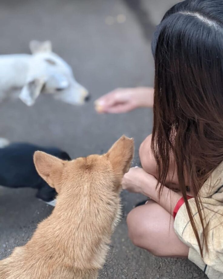 SO CUTE, Tara Sutaria welcomes an adorable guest on the set of Heropanti 2, See Pics - 3