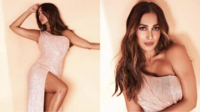 SO HOT! Malaika Arora sets fire in silver high slit gown, price of her scandals will leave you stunned