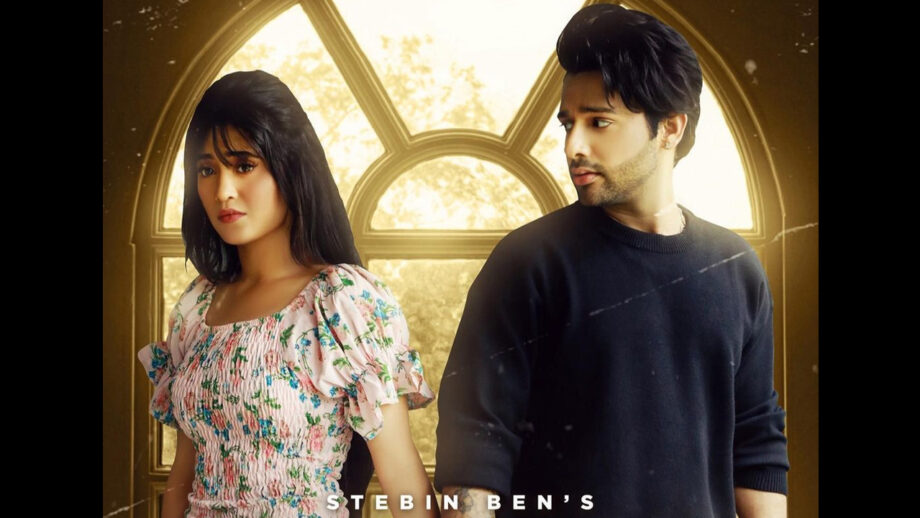 Stebin Ben is YRKKH's Shivangi Joshi's 'humnava', wants you to admire them 'forever' 542540