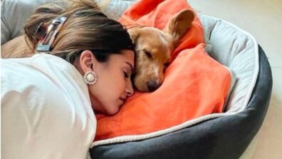 Tara Sutaria giving cuddles to her dog will be the best thing you will witness on internet today 