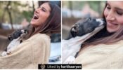 Tara Sutaria is all smiles while hugging her favourite, Kartik Aaryan loves it