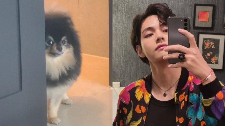 Times when BTS V couldn’t stop showing off his cute pet on the internet, Check out best pictures of Yeontan shared by V - 0