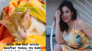 TMKOC diva Munmun Dutta gets special cuddle during windy lazy weather, meet the lucky one
