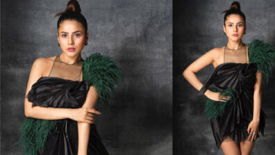 Trending: Bigg Boss 13 fame Shehnaaz Gill burns oomph in ‘Gavin Miguel’ ruffled, midi feather outfit, fans go bananas