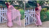 Uff Too Hot: Shraddha Arya sets temperature soaring in transparent saree and V-neck blouse, see pics