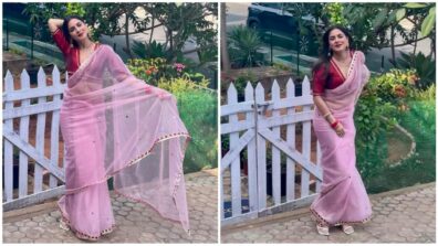 Uff Too Hot: Shraddha Arya sets temperature soaring in transparent saree and V-neck blouse, see pics