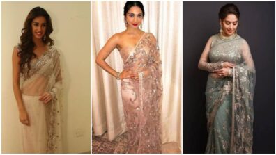 Want to master the art of stylish Tulle saree look? Let Disha Patani, Kiara Advani and Madhuri Dixit be your ultimate guide