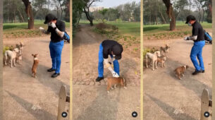 Watch Video: Sachin Tendulkar brings back ‘Pawri Ho Rahi Hai’ trend