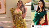 What A Hottie: Nikki Tamboli shines bright like diamond in glamourous off-shoulder photo, Rubina Dilaik says ‘pretty’