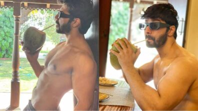 What A Hunk: Varun Dhawan enjoys ‘nariyal pani’ as he poses shirtless, female fans can’t stop sweating