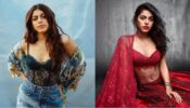 Alaya F’s Bold Photoshoot Is All Over Social Media! We Can’t Stop Gazing At Her