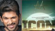Allu Arjun Exemplifies That Telugu Cinema Has A Pan-India Following, Read More