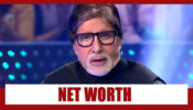 Amitabh Bachchan and his net worth will shock you