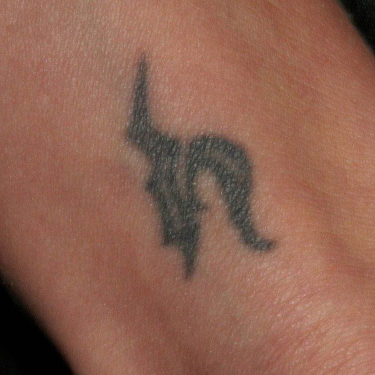 Angelina Jolie’s Tattoos & Its Meaning Revealed: Has A Bengal Tiger - 9