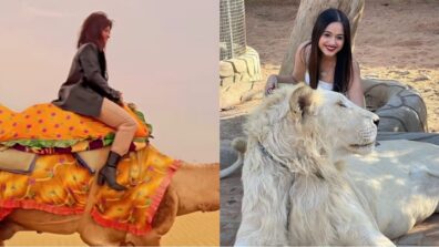 Animal Love During Travel: Avneet Kaur enjoys camel ride, Jannat Zubair Rahmani poses with dangerous lion, snake and monkey