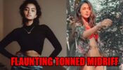 Anupama Parameswaran To Rakul Preet Singh: South Babes Flaunting Toned Midriff