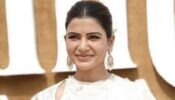Blockbusters Films That Samantha Prabhu Rejected And Probably Regretted, Take A Look
