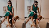 Awesome Pawsome: Rubina Dilaik gets playful with cute pet dog, see photodump moments