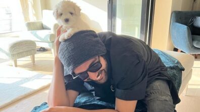 AWWdorable: Kartik Aaryan can’t stop blushing in puppy Katori’s presence, blames him for distracting him in work