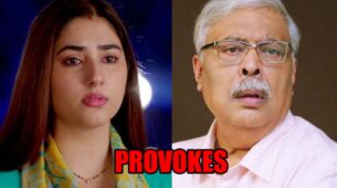 Bade Achhe Lagte Hain 2 spoiler alert: Priya provokes Mahender to spill the truth