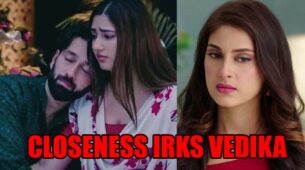 Bade Achhe Lagte Hain 2 spoiler alert: Ram and Priya’s budding closeness irks Vedika