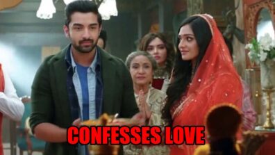 Bhagya Lakshmi spoiler alert: Rishi confesses love for Lakshmi