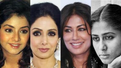 Bollywood Actresses Who Look Like Each Other’s Twin Sisters: From Divya Bharti-Sridevi To Smita Patil-Chitrangada Singh