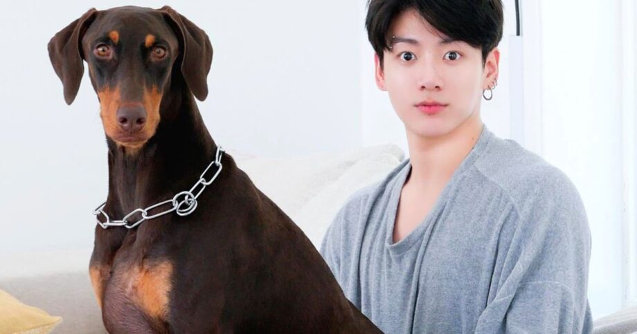 BTS Jungkook And His Adorable Dog, You’ll Be In Love With These Pictures - 0