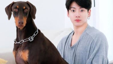 BTS Jungkook And His Adorable Dog, You’ll Be In Love With These Pictures