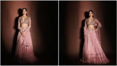 Malavika Mohanan In Rs. 75k Plunging Neckline Dull Pink Lehenga By Vani Vats, Check Stunning Pictures